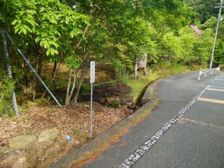 この地点から左に入山していくが、道標や踏み跡など一切ない