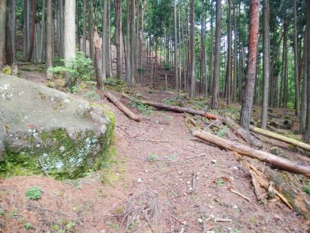 踏み跡っぽいものがあったので進んでいく