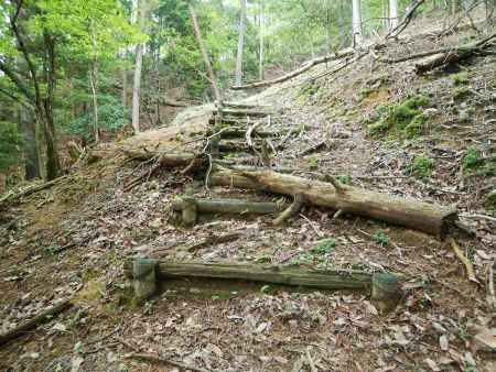 この階段を登っていったが、地図を確認すると全く違う方向に進んでいた