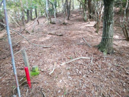 ここから尾根を登って地図のルートのほうへ行く
