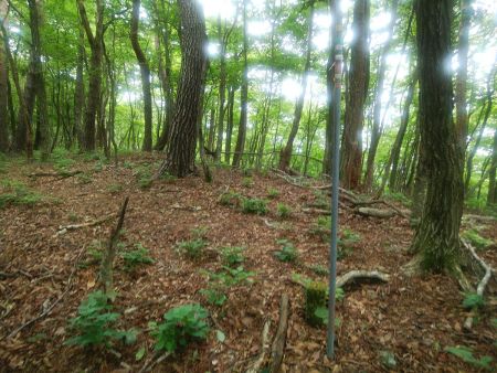 ピーク手前の尾根に取り次いだ。このまま左のピークへ登っていく