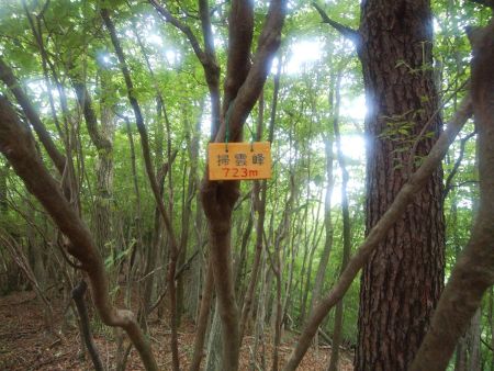 掃雲峰(723m)というプレートがあった
