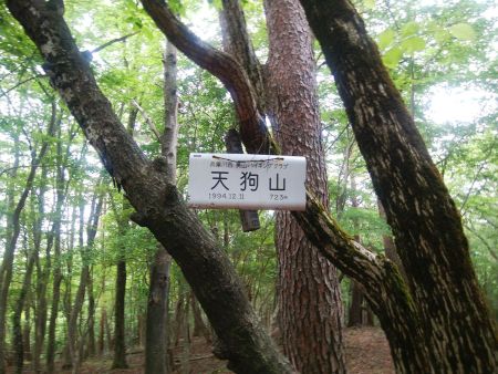 ここは天狗山とも呼ばれているようだ。他にもプレートはあったが、掃雲峰か天狗山と記載されていた