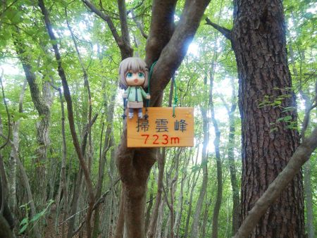 せっかくなので掃雲峰で雪村あおいちゃんを撮影しておいた