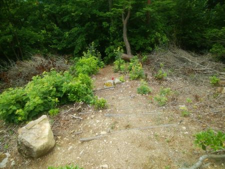 天狗岩から尾根を下っていく。ここからは階段があった