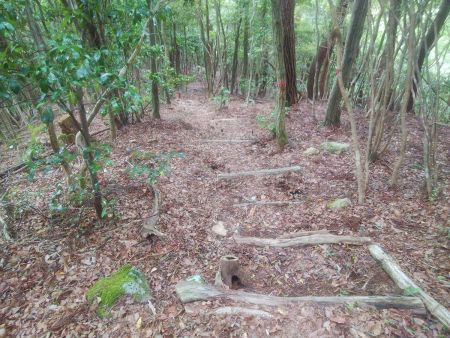 樹林帯の中もひたすら階段があって整備された登山道って感じだった