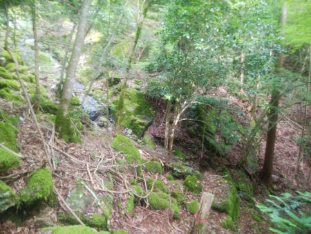 この滝みたいなところで熊らしき生物を確認した。かなり遠目だったけど、あれはイノシシではなかった