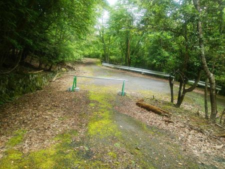 この道を右に折れる。直進すると登りになってるけど行き止まりになると思われる