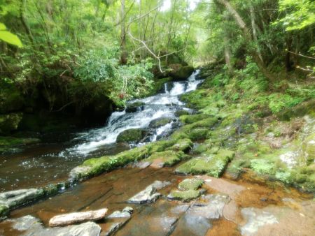 この滝らしきものも何か名前が付けられていたけど難しい漢字だったので覚えてない