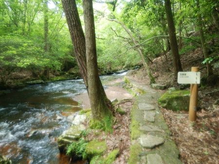ひたすらこんな沢筋の道が続くのだけど飽きてきた