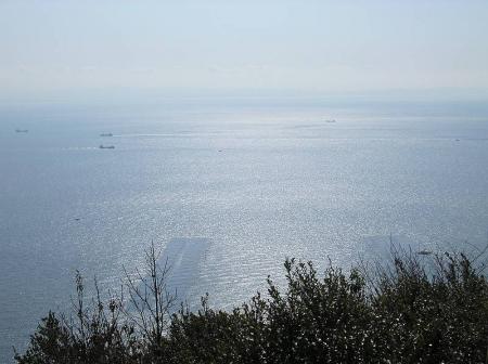 海も綺麗にみえる。海の長方形になっているところは養殖か何かかな！？