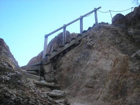 反対側から撮影してるけど、階段があったり結構整備されているのね。さすが六甲縦走路なだけある