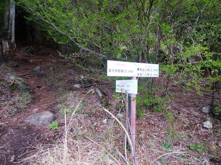 ここから住塚山を目指して登りが始まる