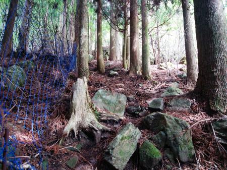 そこまで急登というわけではないけど、いきなりの登りだったのでちょっと息が切れる