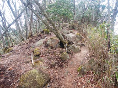 この付近はちょっとした岩場が多い