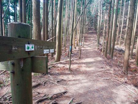 続いて住塚山を目指す