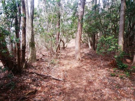 やはり予想通りに長い。山頂がまだ見えない