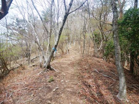 この少し明るくなったところまでくればもう少し