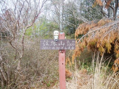 せっかくなので雪村あおいちゃんを撮影