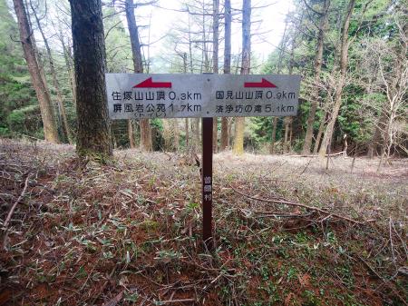 ずいぶん下りてきたと思うけど0.3kmしか進んでなかったのか。国見山まで0.9kmと長そうだ