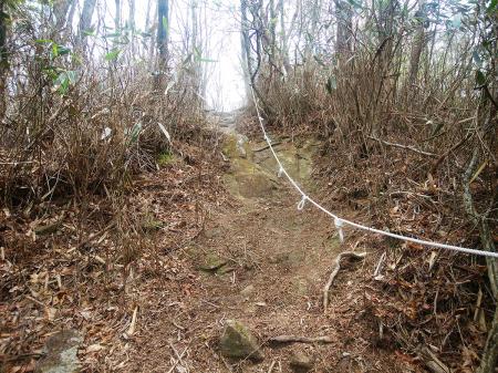 このロープのところを登りきると山頂なはず