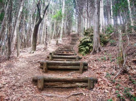 国見山から一旦下って次のピークへの登り。この階段がちょっとキツかった