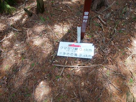 ピークへ登るとクマタワ峠まで0.5kmとなっていた。ここからは地図を見てもずっと下りのはず