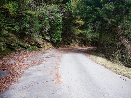 完全に舗装道となった。ここから長い舗装道が続く