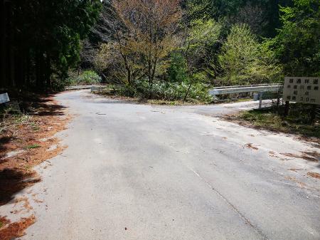 ここで右へ曲がると林道らしく戻れるようだが、地図を見るとなんだか違う。おそらく登らされるので直進してもう少し先を進む
