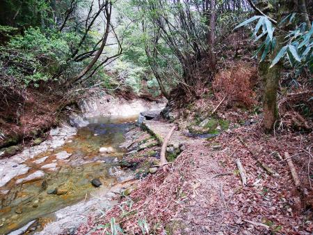 結構綺麗な沢だが、沢筋の道は崩れまくっている