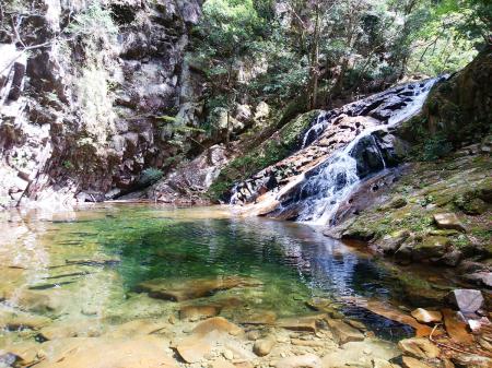 下の滝まできたけど、これが済浄坊の滝らしい。さっきの滝と二段のようになっているので全体で済浄坊の滝かもしれない