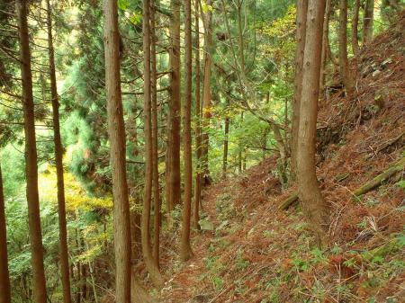 下ったりもあります