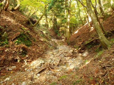 この付近から沢筋に入り、一旦なだらかの下りになります