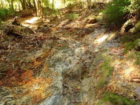 ちょっとした岩場の登りもあり