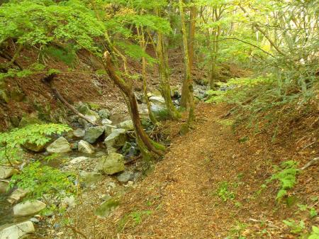 沢筋は赤テープがあちこちに巻かれています