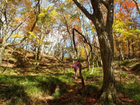 沢筋が終わり七人山のコルへ。紅葉が綺麗です