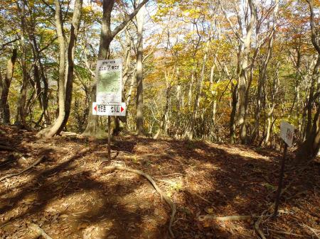 ⑦番に到着。左が東雨乞岳、右は七人山です