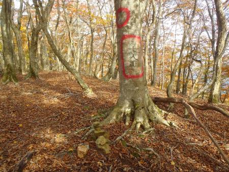 七人山の山頂。木に彫られた印だけでした