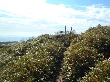 １０分ほどでピークに到着
