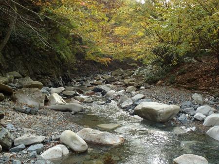 沢筋に出ました。ここを渡ります