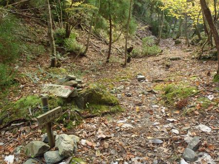 ここからコクイ谷で武平峠へ向かいます