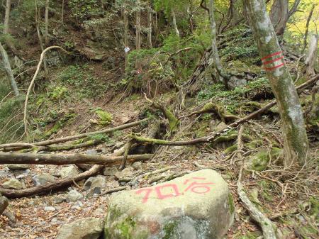 ここからクロ谷