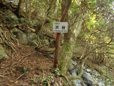 よこに流れる滝を巻いて登ったところが沢谷