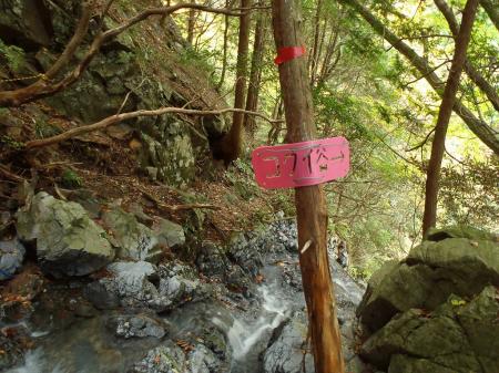 滝の上部。くり貫かれた看板でしたが、これだけなんで凝ったんだろうか！？