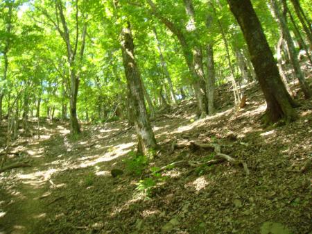 この付近は急登で滑りやすい