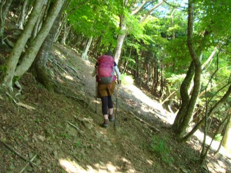 ここからはなだらかな登りになる