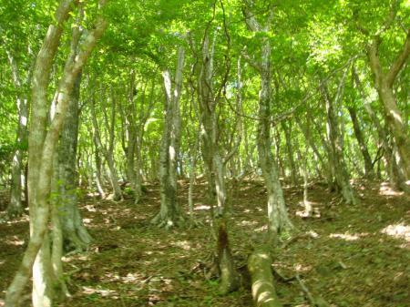 ピークが見えてきた