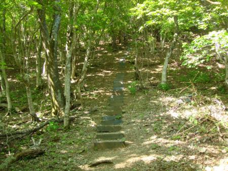 山頂直下の急登の階段