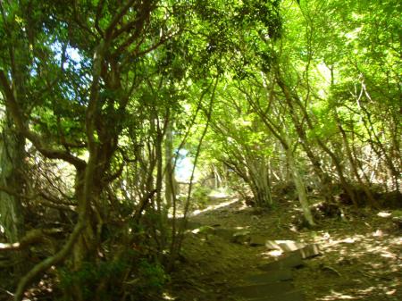 山頂は明るくなっている