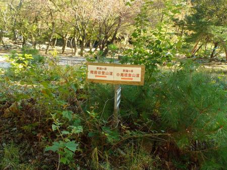 ここで庵座谷のほうへ行く